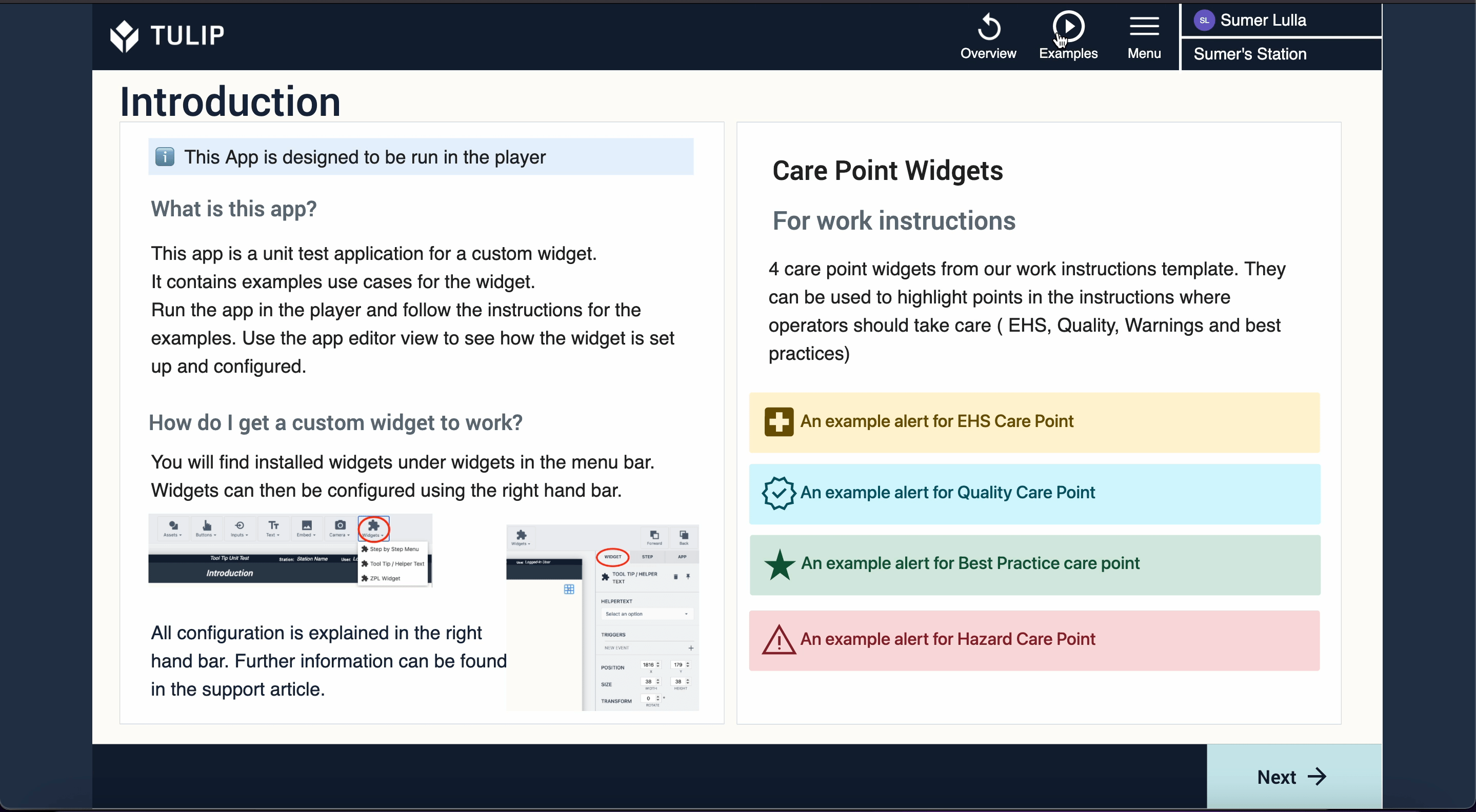 Work Instructions Care Points Unit Test